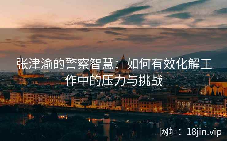 张津渝的警察智慧：如何有效化解工作中的压力与挑战