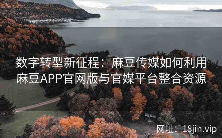 数字转型新征程：麻豆传媒如何利用麻豆APP官网版与官媒平台整合资源