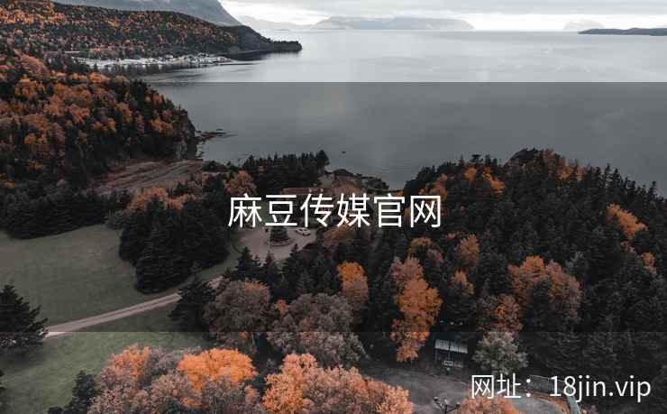 麻豆传媒官网