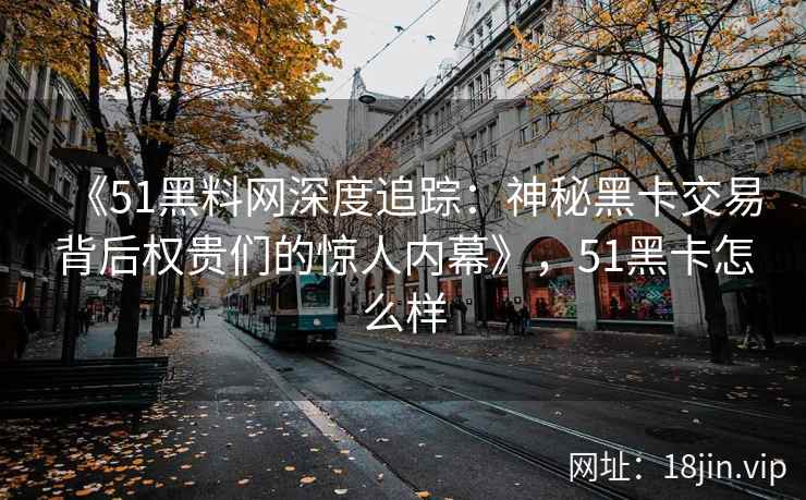 《51黑料网深度追踪：神秘黑卡交易背后权贵们的惊人内幕》，51黑卡怎么样