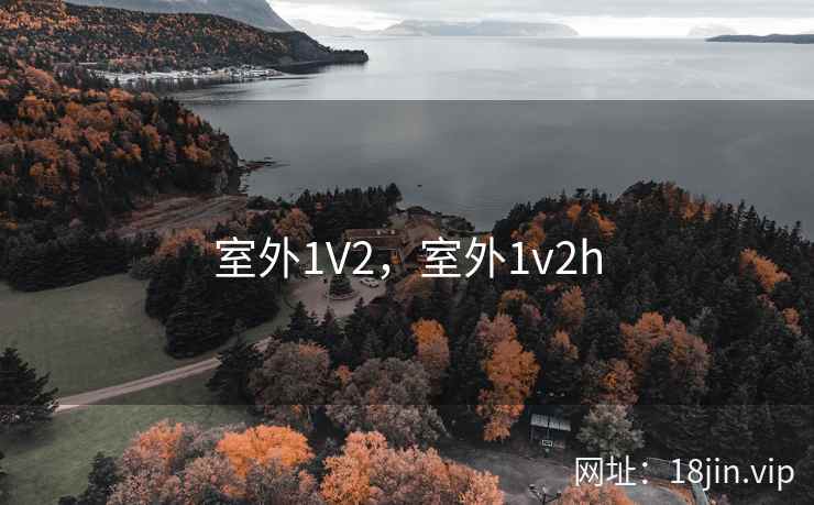 室外1V2，室外1v2h