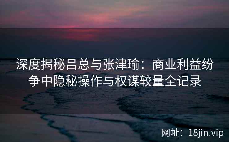 深度揭秘吕总与张津瑜：商业利益纷争中隐秘操作与权谋较量全记录